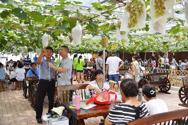 【走进庄园】刷爆柳州朋友圈最火的两个农庄，排队等位，跑再远都值得！