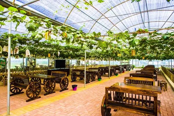 【走进庄园】刷爆柳州朋友圈最火的两个农庄，排队等位，跑再远都值得！