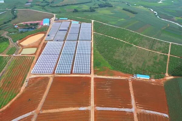 【走进庄园】刷爆柳州朋友圈最火的两个农庄，排队等位，跑再远都值得！