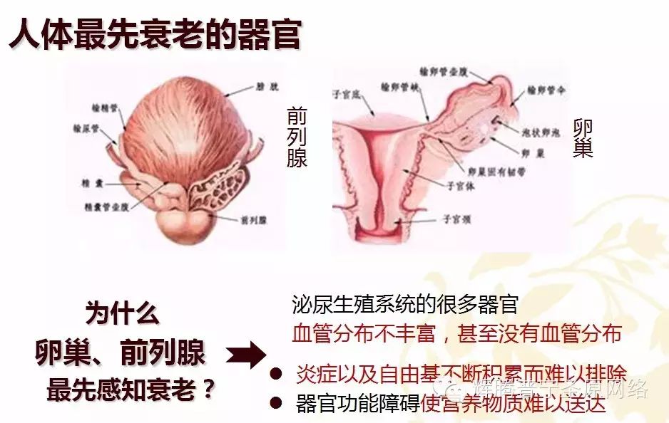 前列腺增生治疗 穴位按摩治前列腺增生