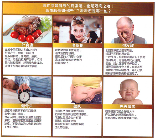 旨解——降血脂，清除血管内垃圾，让血液不再粘稠