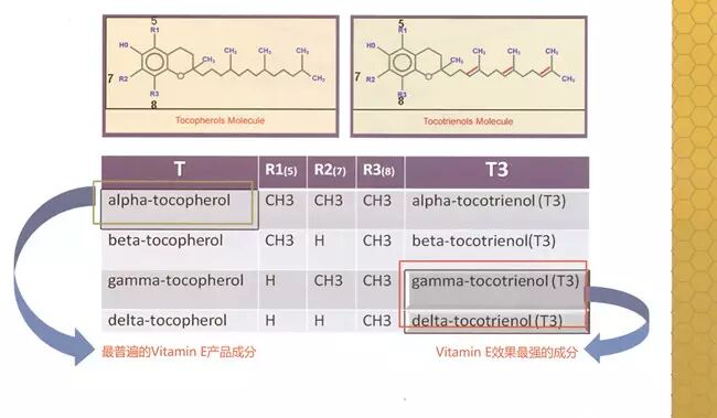 旨解——降血脂，清除血管内垃圾，让血液不再粘稠