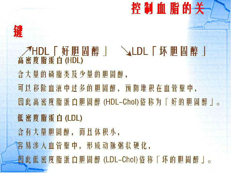 旨解——降血脂，清除血管内垃圾，让血液不再粘稠