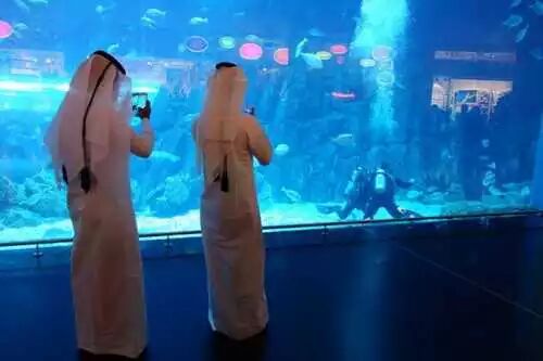 不装逼，咱们还是朋友50 / 作者:thkfh / 帖子ID:111980