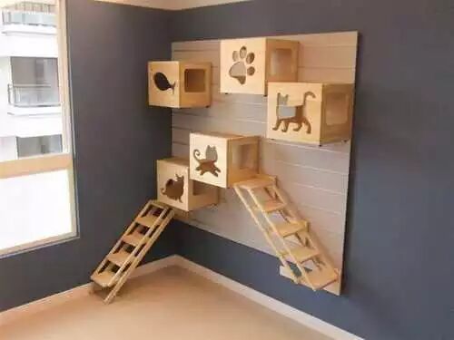 不装逼，咱们还是朋友191 / 作者:thkfh / 帖子ID:111980