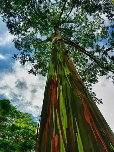 世界上最赞的16张裸照 - 冰点 - 人在旅途 世界上最赞的16张裸照... - 琳琅 - 琳琅博园欢迎您