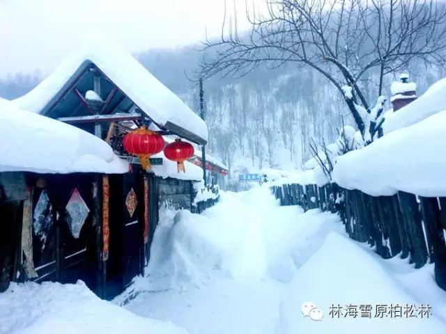 中国威虎山雪村全攻略