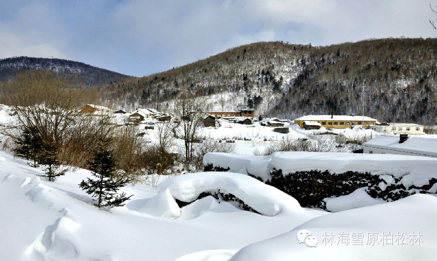 中国威虎山雪村旅游攻略