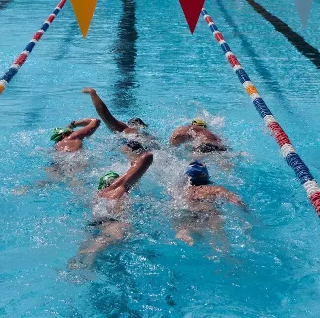 如何在泳池训练公开水域的游泳技巧？ - 程序猿