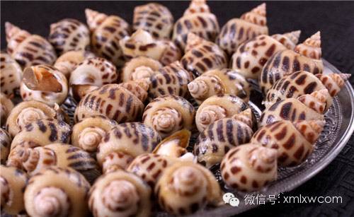 苦螺—荔枝螺泥慈—泥螺龟脚—石蜐(jié)红蛋曲—刺红藤壶
