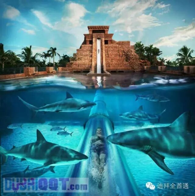 �ϰݻ�����֮�߽��ϰ�ȫ��ͨ