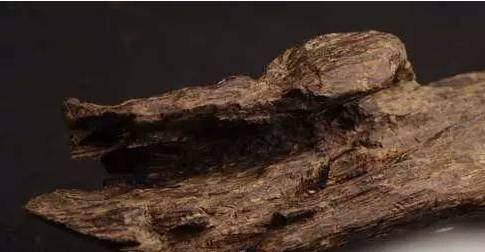 木材中的四大名药