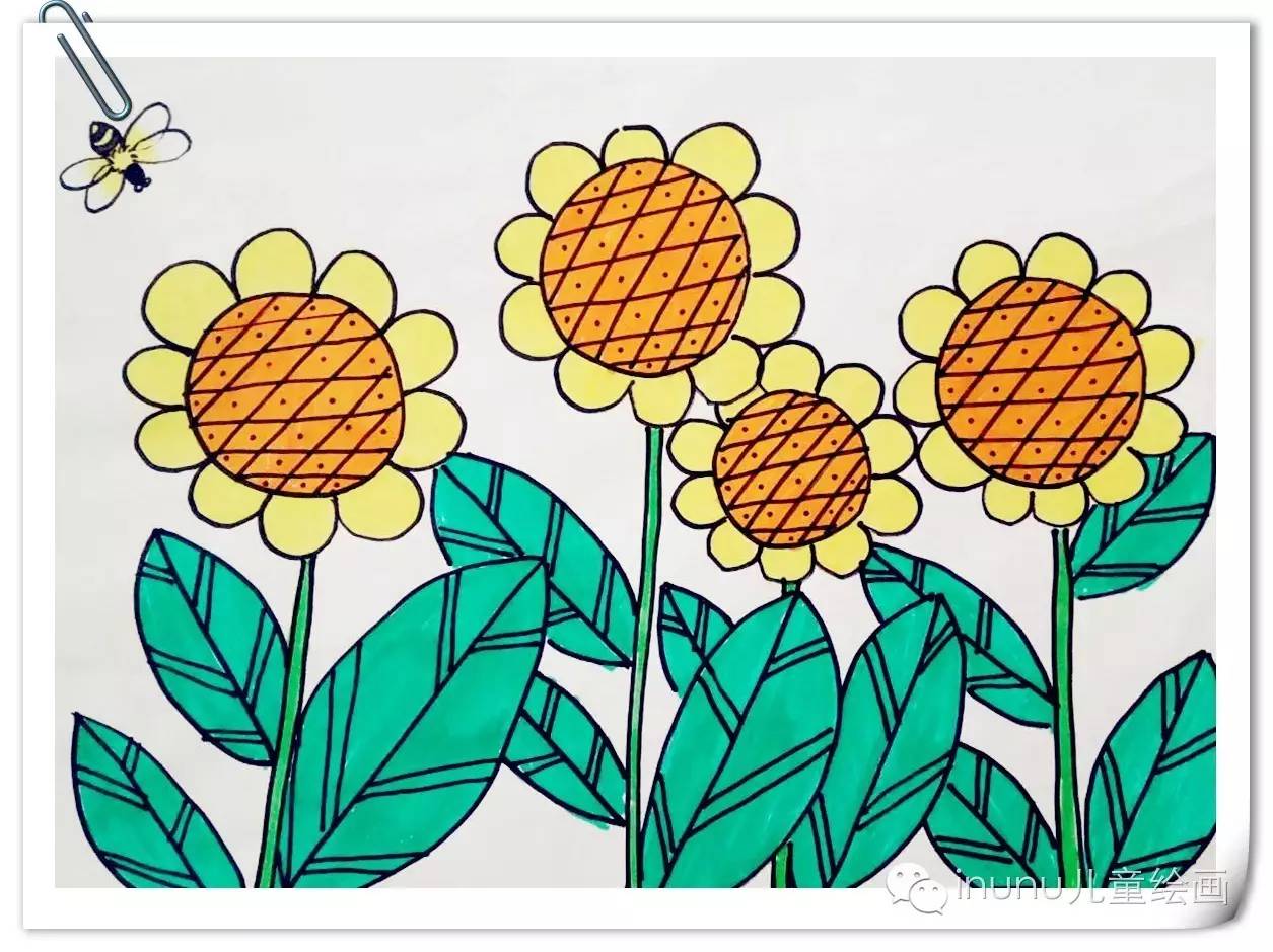 绘画本) 铅笔,4b橡皮,24色水彩笔 二, 示范成品展示: 1,向日葵的花盘