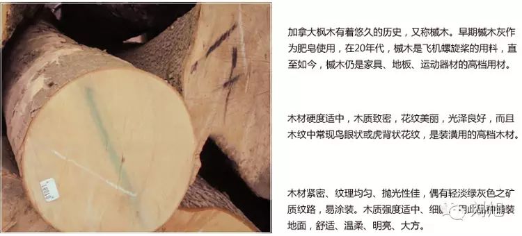 百木世佳地板_常見(jiàn)的木地板_吉象地板尊木