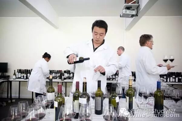 新西兰葡萄酒专业指南——专访新西兰大使馆教育参赞Alexandra Grace