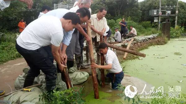 安徽防汛形势严峻，长江干流全线超警！（最新消息汇总）