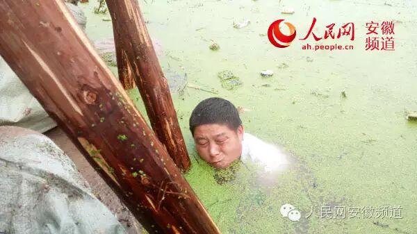 安徽防汛形势严峻，长江干流全线超警！（最新消息汇总）