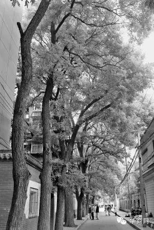 西安30条老巷子的历史（转自“乐享西安”）