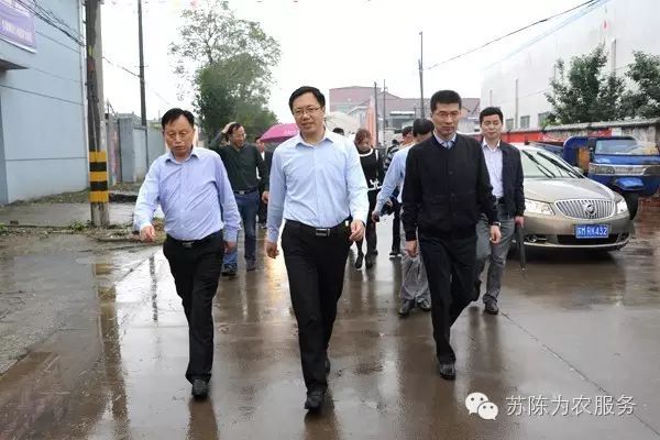 【今日关注】陈翔区长调研全区畜禽养殖污染治理工作情况