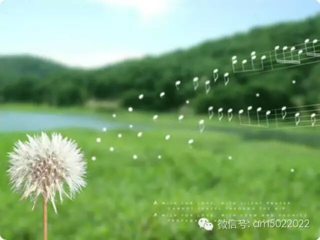 霍建华:撩完汉子撩妹子,睫毛精,你还有什么技能?