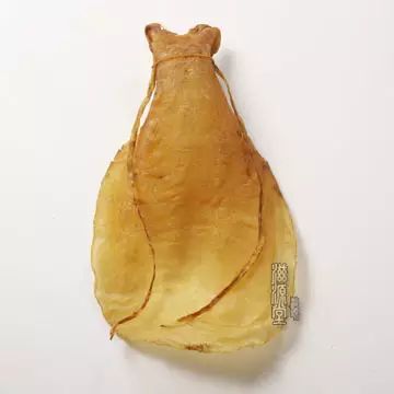 鱼胶之王——金钱鳘鱼胶