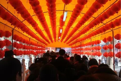 洛阳“黄金大道”价值3亿被踩坏