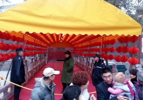 洛阳“黄金大道”价值3亿被踩坏