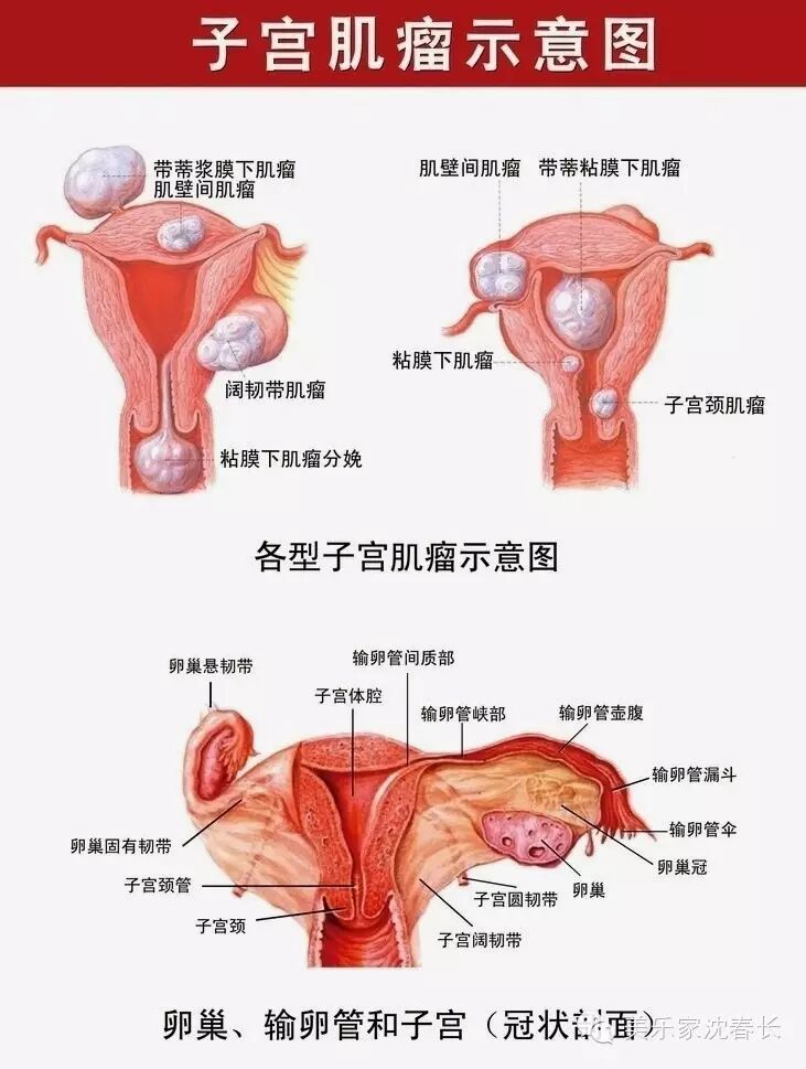 【产品】女人如花,女人如水,美乐家黑糖桂圆红枣茶温暖子宫的柔美