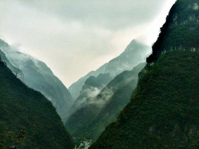 发现神龙峡之美—珍稀濒危民间药用植物