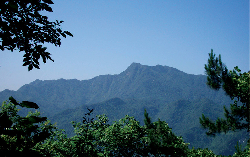 发现神龙峡之美—珍稀濒危民间药用植物