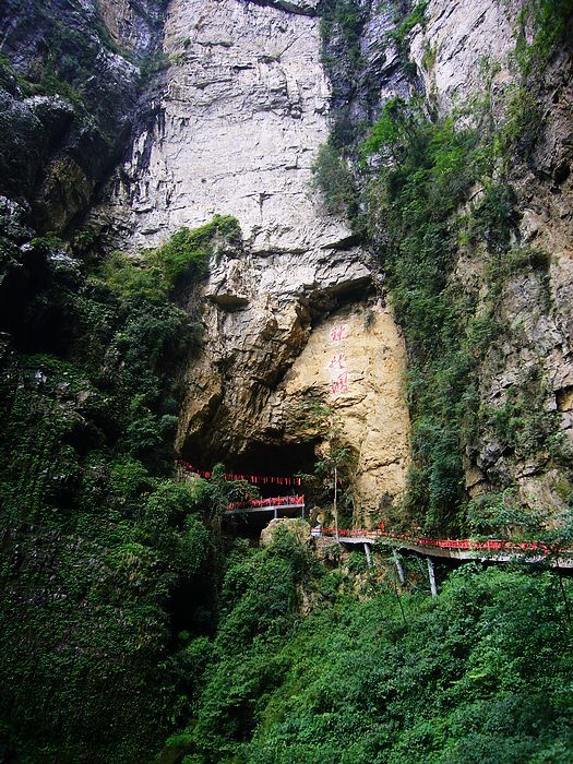 发现神龙峡之美—珍稀濒危民间药用植物