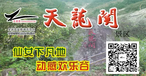 惊喜！惊喜！惊喜！潜山县天龙关景区首届七彩风车展震撼来袭！(图34)