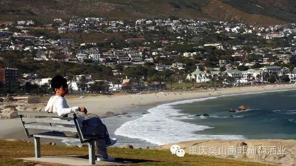 李健  音乐诗人的南非足迹
