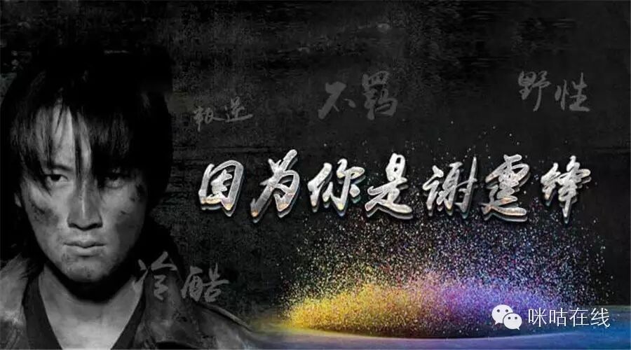 你有你的标签 因为你是谢霆锋