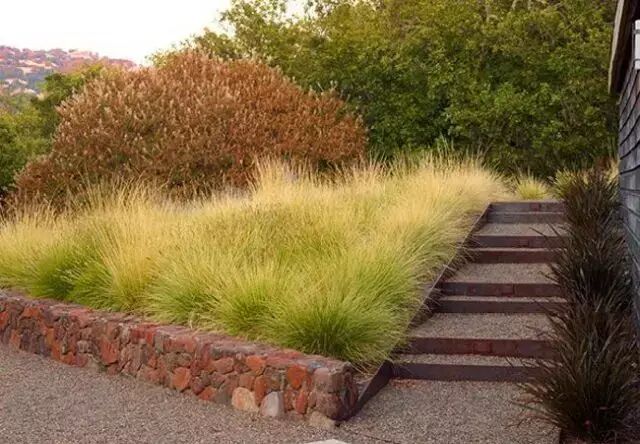 【园林景观】这些走心的细节设计，将为景观设计项目带来巨大的优势！！