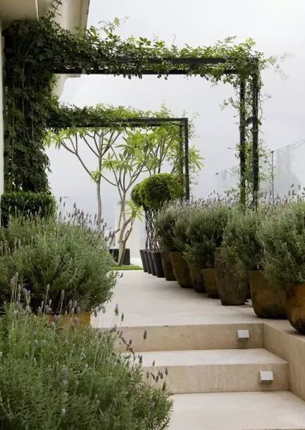 【园林景观】这些走心的细节设计，将为景观设计项目带来巨大的优势！！