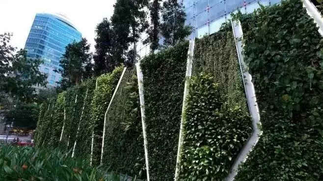 让你的农场景墙变个身，创意美美哒