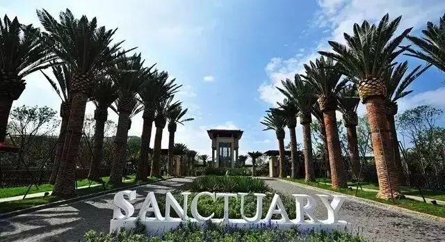 让你的农场景墙变个身，创意美美哒