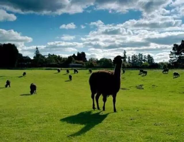 【模式】7种模式，告诉你休闲农业项目开发的土地怎么拿