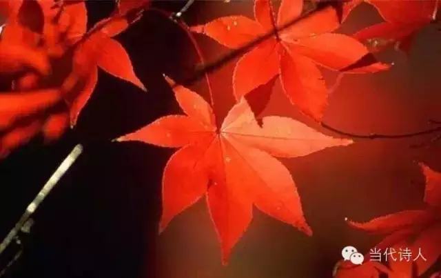 ĵʫ