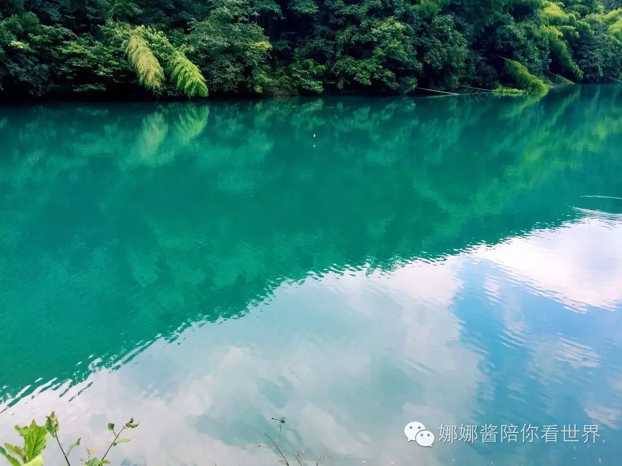 虽然还没去过九寨沟,但看到这一池碧绿的池水,整个人不禁惊叹起来