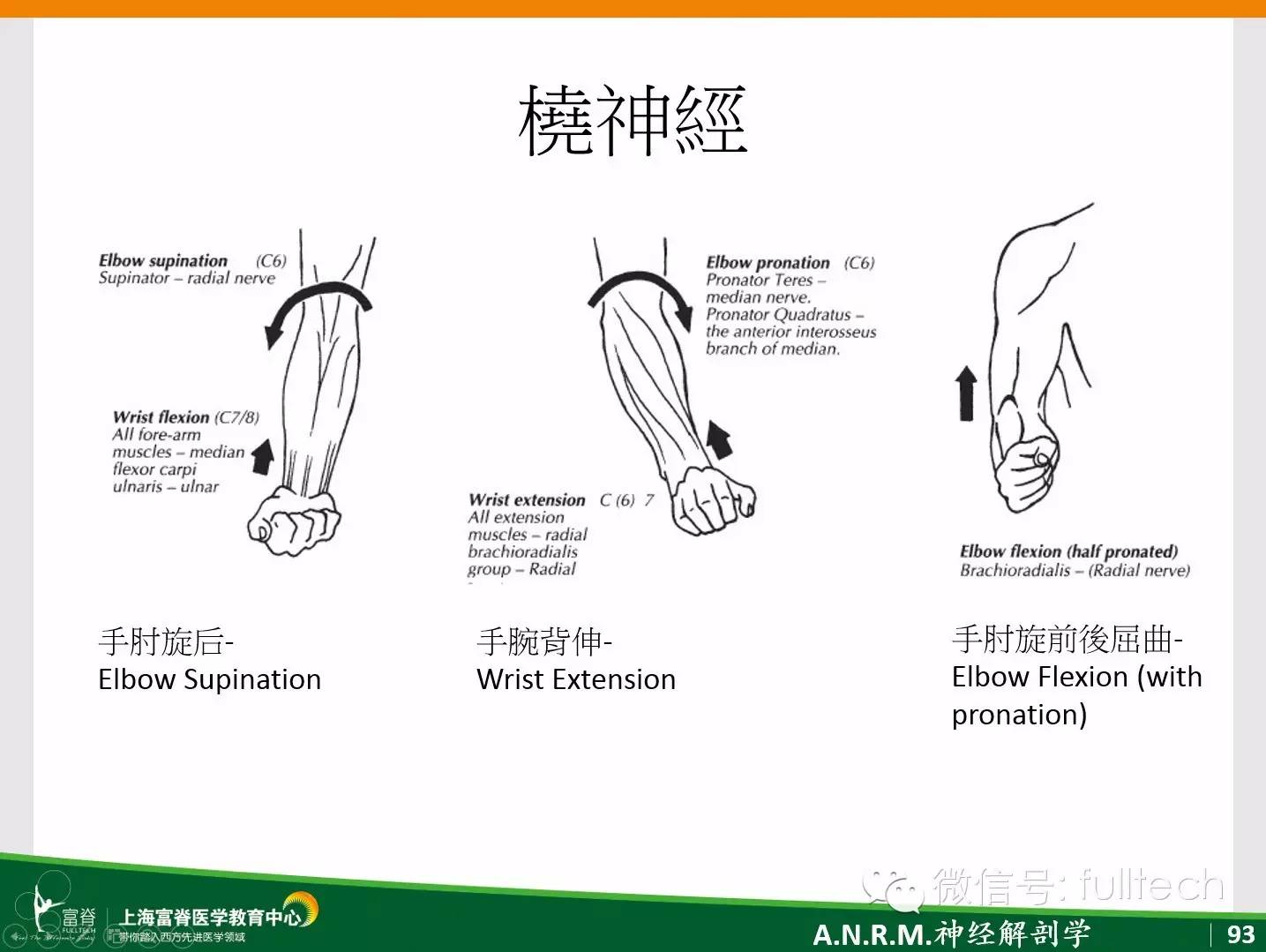 桡神经损伤的康复