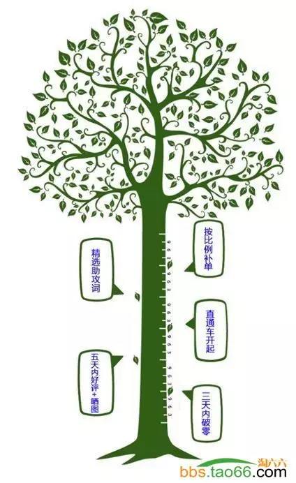 爆款起步优化实操，让新品抢占无线端排名 - 第13张  | vicken电商运营