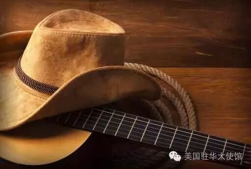 【美国音乐】乡村音乐/香草蓝调