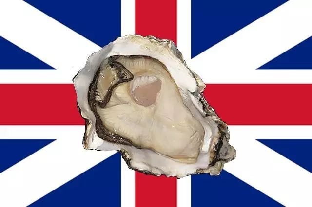英国人向来推崇自己国家产的生蚝,爱尔兰塔玛拉生蚝产于邓加文湾