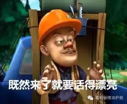 也留下不是精辟的励志话语,一起来读下"光头强"的智慧吧