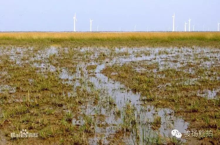 駿揚(yáng)航拍江蘇鹽城航拍集錦