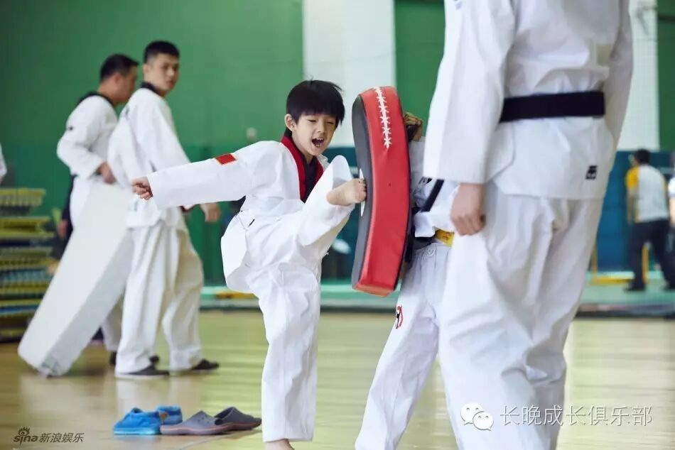 董洁、贾乃亮、甄子丹都会让孩子参与的运动,也找你来参...