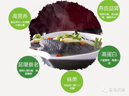 香岛香鸡——海南沉香林下绿色散养土鸡 无激素纯粮食喂养 - 沈汝青 - 沈汝青 香岛香鸡——海南沉香林下绿色散养土鸡 无激素纯粮食喂养 - 沈汝青 - 沈汝青