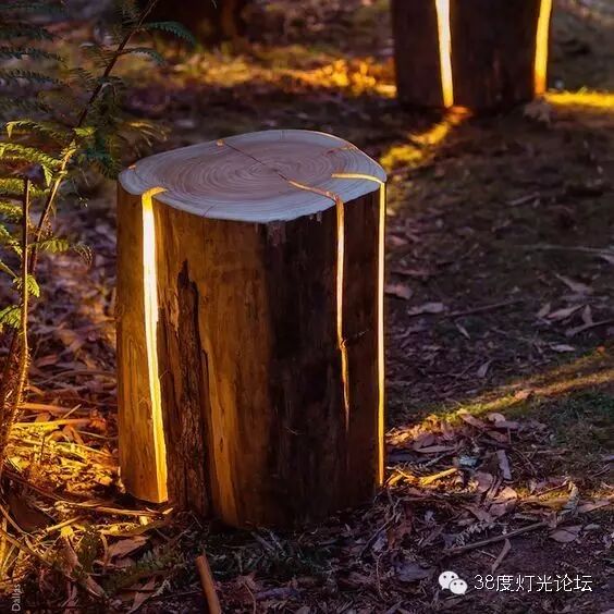 木材与光的邂逅